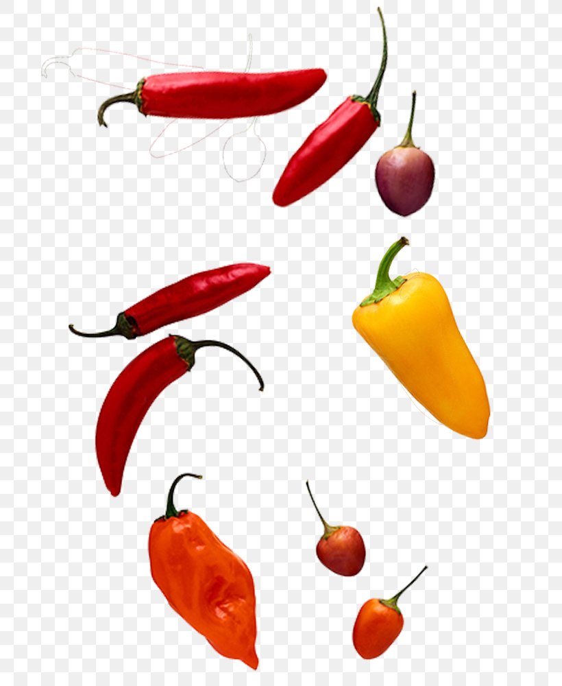 Chili Pepper Computer File, PNG, 700x1000px, Chili Pepper, Bell Peppers And Chili Peppers, Food, Fruit, Natural Foods Download Free