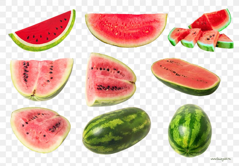 Citrullus Lanatus Melon Clip Art, PNG, 1600x1113px, Citrullus Lanatus, Blog, Citrullus, Computer Software, Cucumber Gourd And Melon Family Download Free