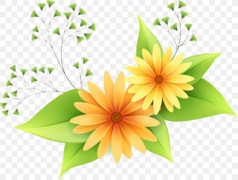 Flower Clip Art, PNG, 1024x775px, Flower, Color, Daisy Family, Floral Design, Floristry Download Free