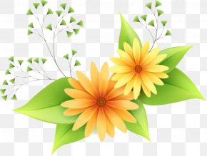 Flower - Flower Clip Art PNG
