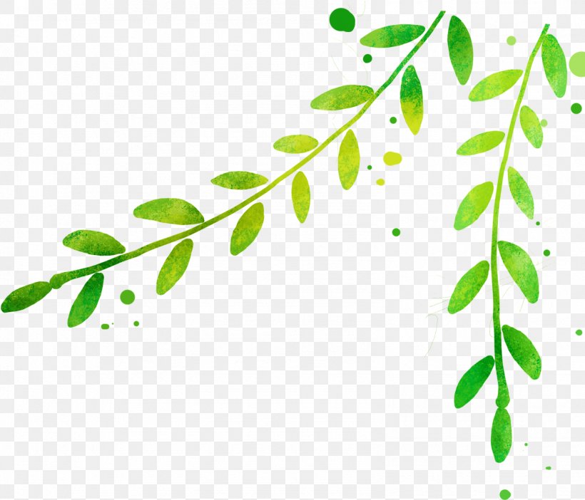 Leaf Poster Drawing, PNG, 1585x1357px, Leaf, Advertising, Area, Art, Branch Download Free