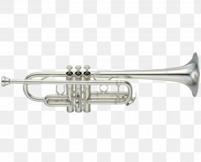 Trumpet - Trumpet Brass Instruments Trombone Musical Instruments Orchestra PNG