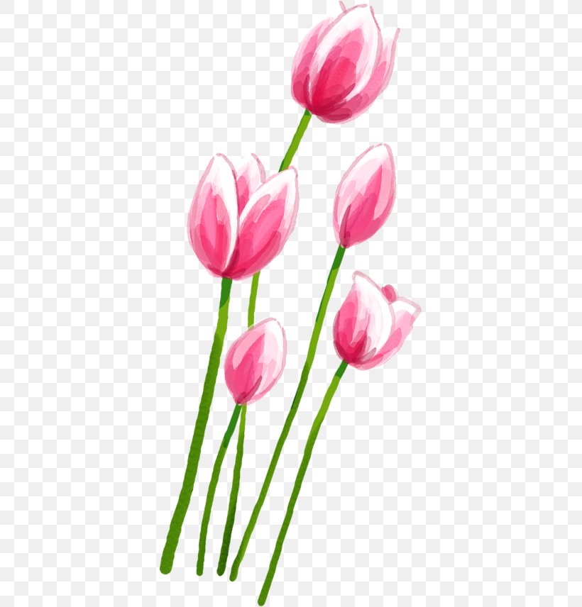Tulip Pink Petal, PNG, 371x856px, Tulip, Cut Flowers, Floral Design, Floristry, Flower Download Free