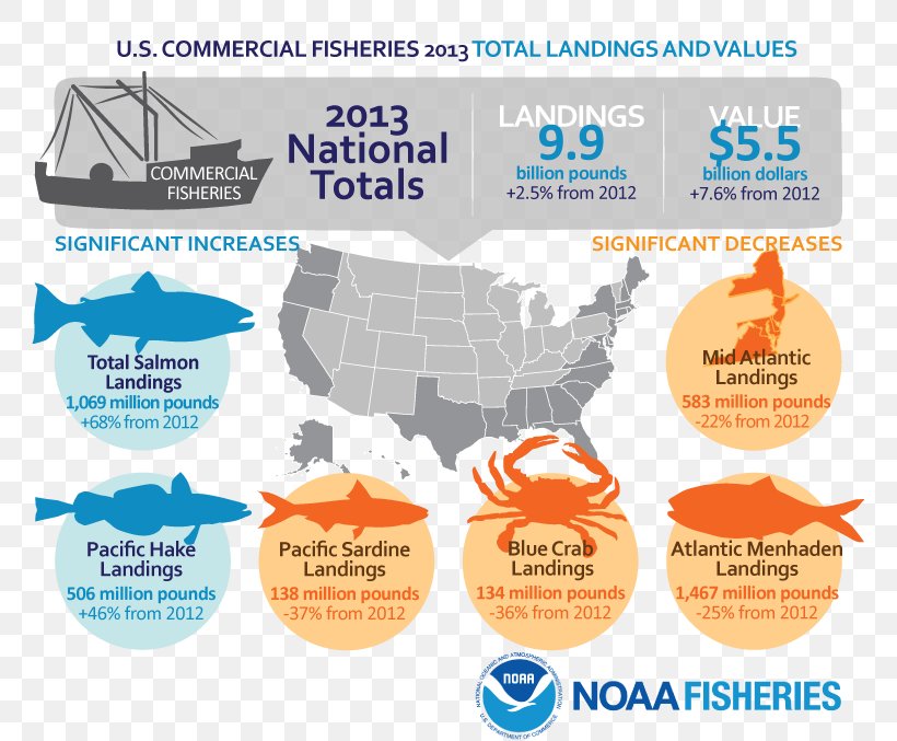 United States Commercial Fishing Fishery National Marine Fisheries Service, PNG, 792x677px, United States, Aquaculture, Brand, Commercial Fishing, Diagram Download Free