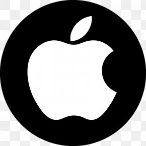 Apple Logo Icon, PNG, 803x985px, Iphone, App Store, Apple, Apple Puerta ...