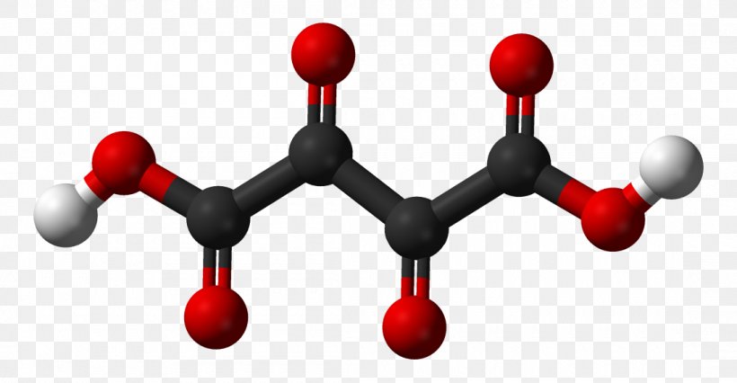 Oxalate Ion Oxalic Acid Oxaloacetic Acid, PNG, 1100x572px, Oxalate, Acid, Chemical Formula, Chemistry, Hydrogen Ion Download Free