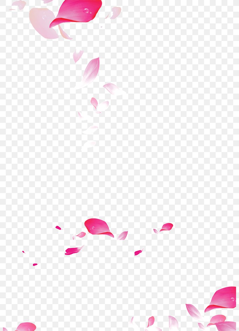 Petal Clip Art, PNG, 800x1132px, Petal, Area, Blossom, Cherry Blossom, Editing Download Free