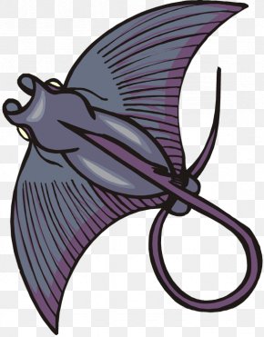 Clip Art PNG
