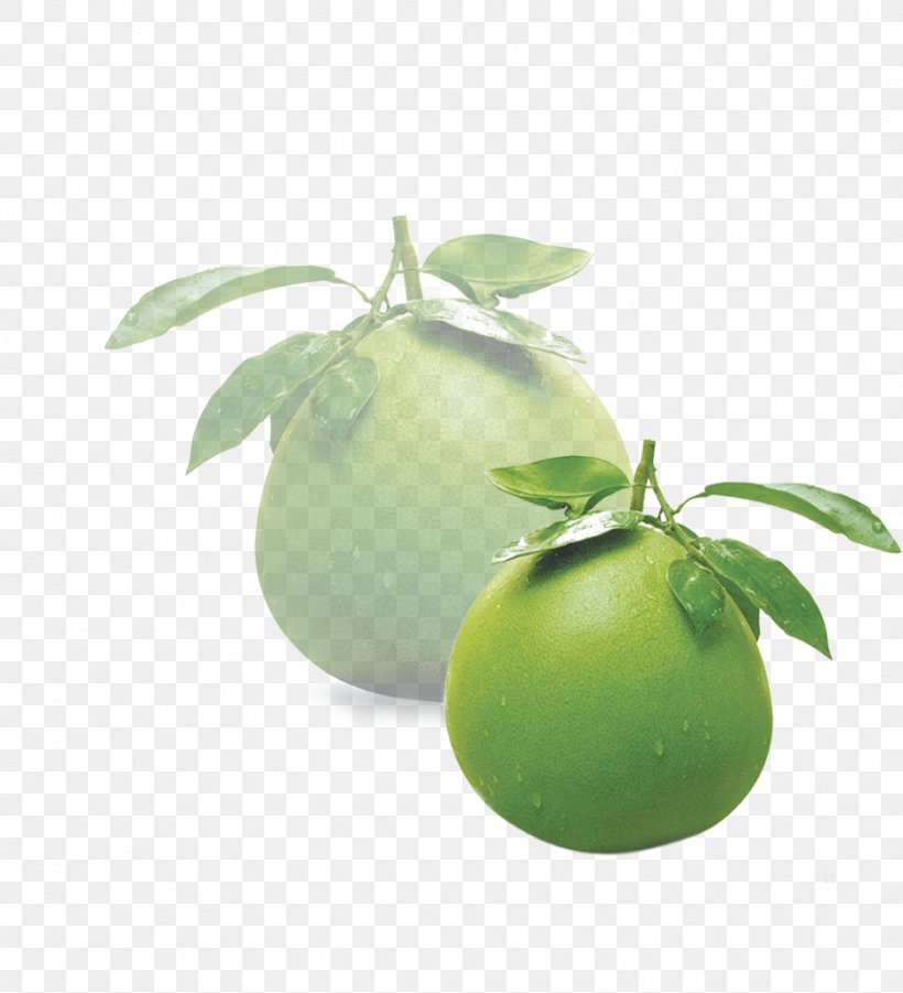 Persian Lime Grapefruit Pomelo, PNG, 932x1025px, Grapefruit, Apple, Citric Acid, Citrus, Citrus Junos Download Free