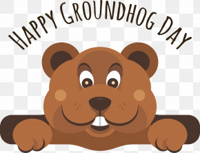 Teddy Bear PNG