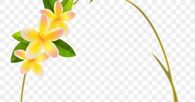 Flower Floral Design Picture Frames, PNG, 1200x630px, Flower, Art, Craft, Cut Flowers, Flora Download Free