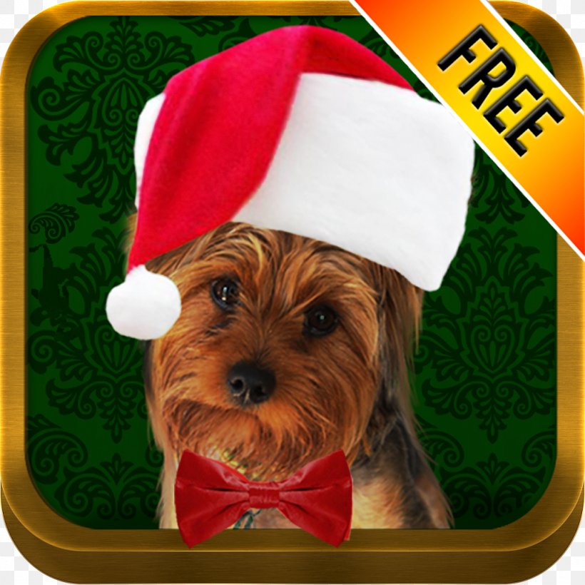 Photo App Holiday Santa Claus Dog Pet, PNG, 1024x1024px, Photo App, Android, App Store, Carnivoran, Christmas Download Free