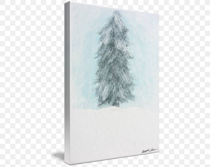 Spruce Winter Sky Plc, PNG, 435x650px, Spruce, Conifer, Fir, Frost, Pine Family Download Free