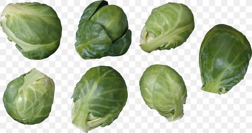 Brussels Sprout Cabbage Kohlrabi Cauliflower Broccoli, PNG, 2048x1084px, Brussels Sprout, Brassica Oleracea, Broccoli, Cabbage, Cabbage Family Download Free