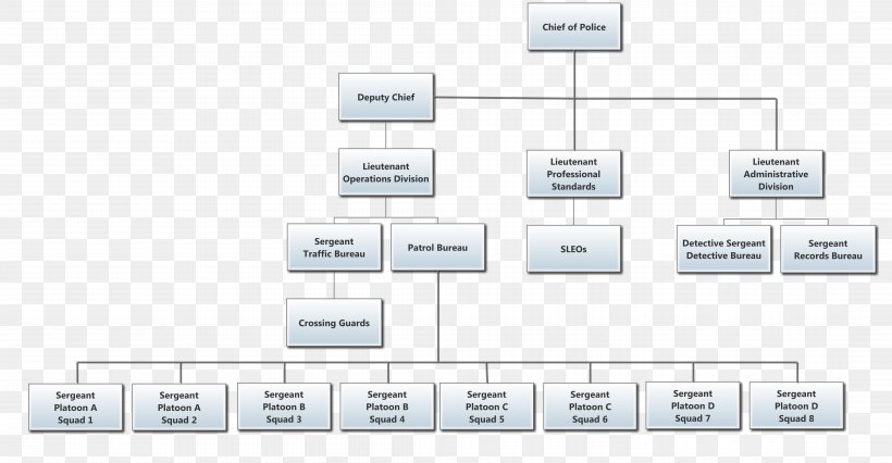 Organizational Chart New Jersey Organizational Structure, PNG, 8609x4475px, Organizational Chart, Area, Chart, Detective, Diagram Download Free