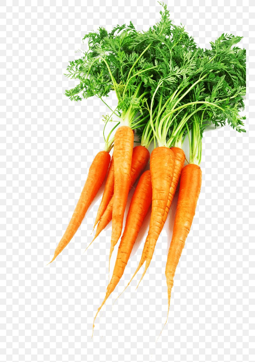 Baby Carrot Supergezond: 64 Supergezonde Recepten Food Medical Diagnosis Physician, PNG, 762x1164px, Baby Carrot, Carrot, Food, Local Food, Medical Diagnosis Download Free