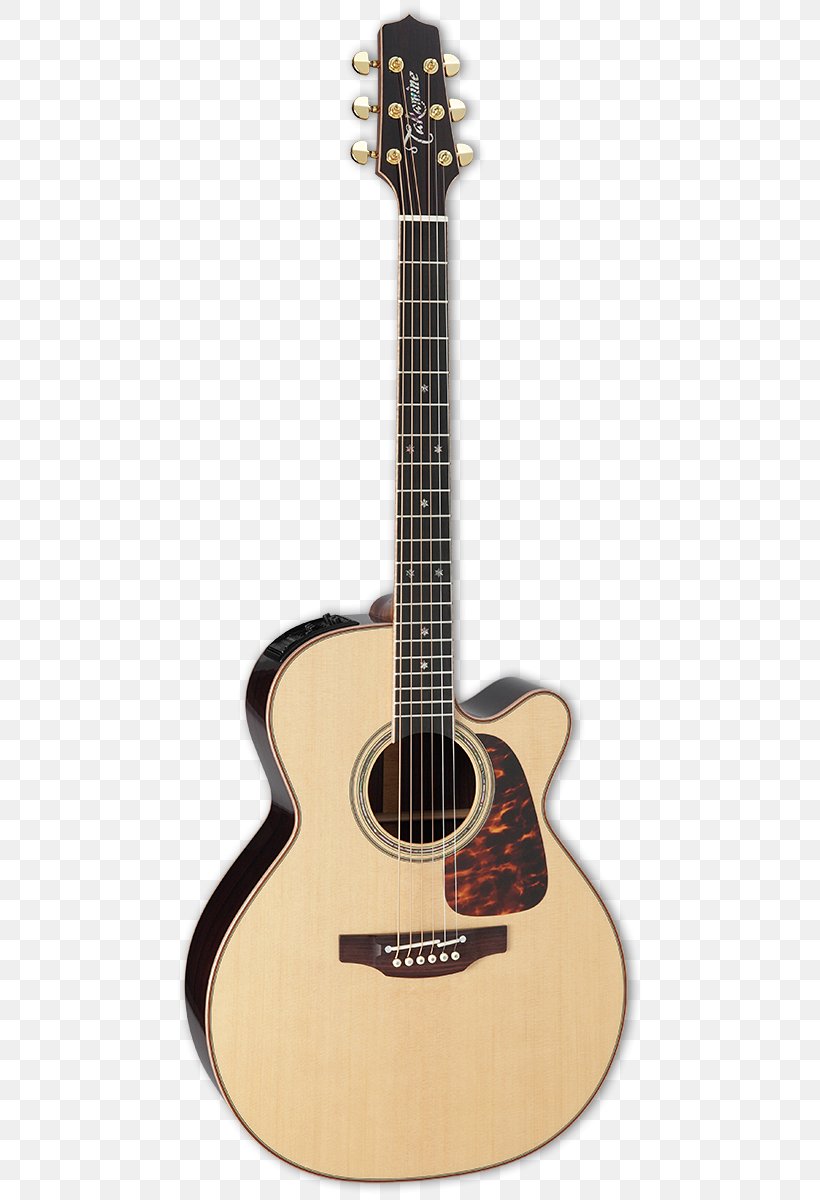 Steel-string Acoustic Guitar Acoustic-electric Guitar Dreadnought, PNG, 483x1200px, Watercolor, Cartoon, Flower, Frame, Heart Download Free