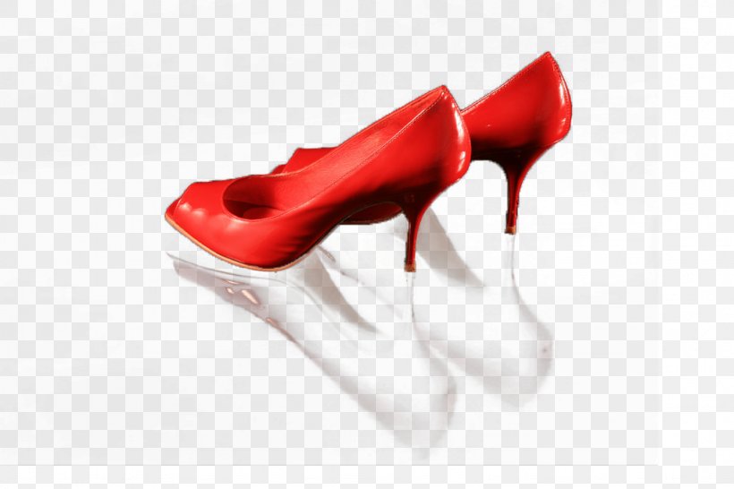 High-heeled Footwear Shoe Designer, PNG, 1024x683px, Highheeled Footwear, Designer, Flower, Footwear, Heel Download Free