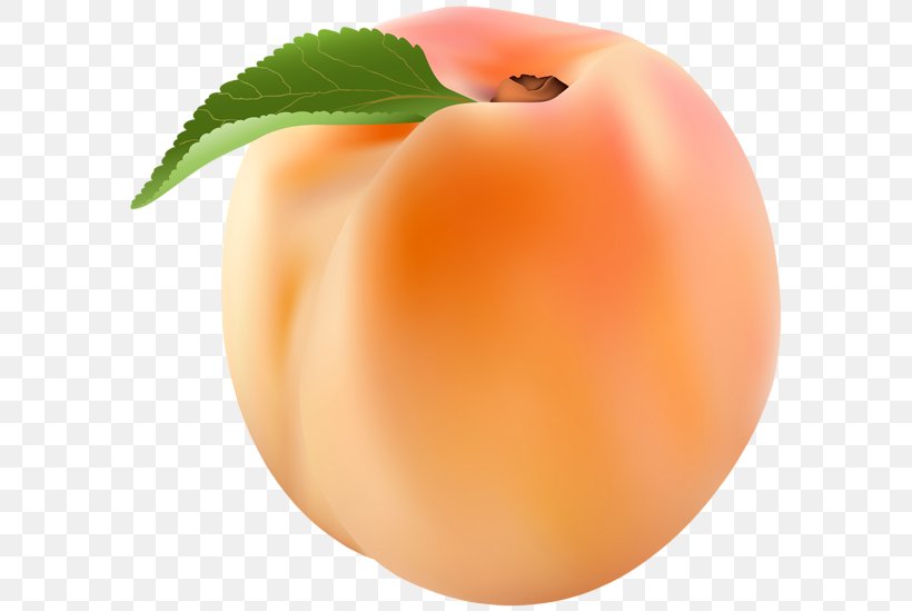 Nectarine Peach Clip Art, PNG, 600x549px, Nectarine, Apple, Apricot, Brugnon, Food Download Free