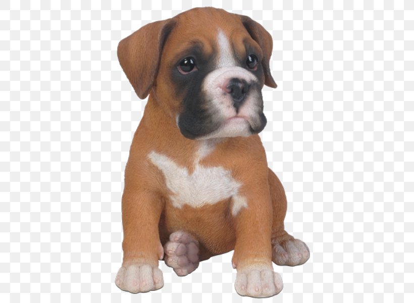 Boxer Puppy Border Collie Rottweiler Old English Sheepdog, PNG, 600x600px, Boxer, Animal, Beagle, Border Collie, Breed Download Free