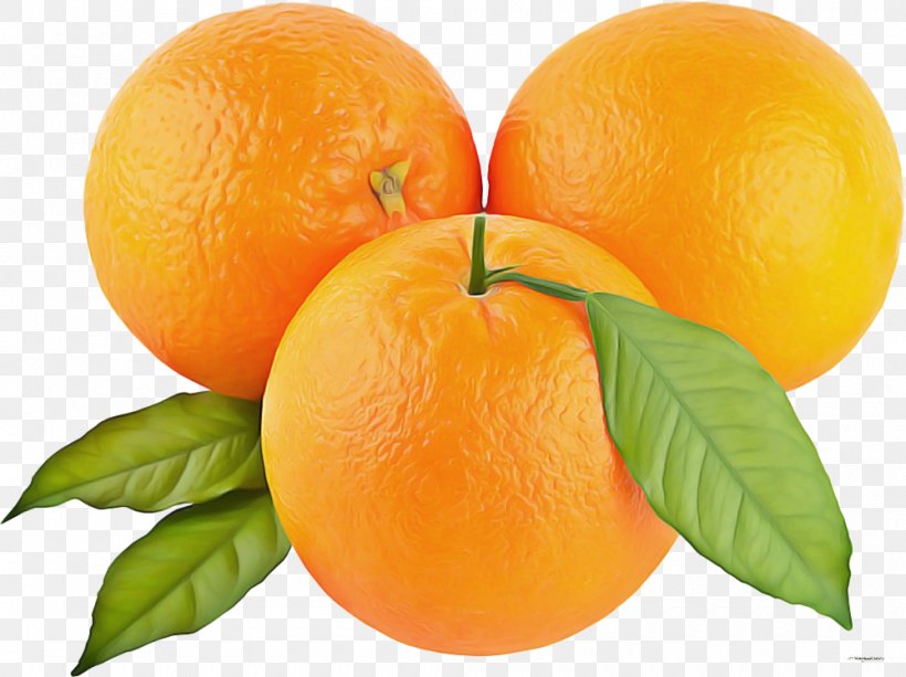 Orange, PNG, 1000x748px, Fruit, Citrus, Food, Mandarin Orange, Orange Download Free