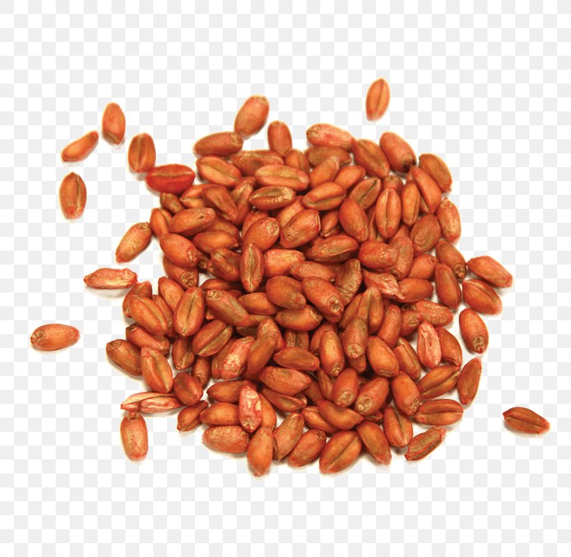 Peanut Commodity, PNG, 800x800px, Nut, Commodity, Ingredient, Nuts Seeds, Peanut Download Free
