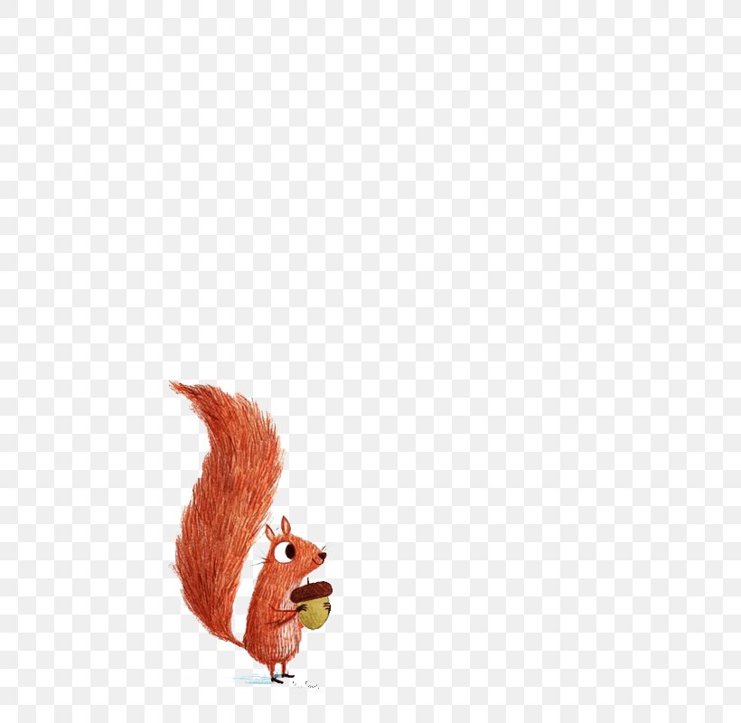 Squirrel Drawing Illustration, PNG, 564x800px, Squirrel, Alex T Smith, Art, Drawing, Idea Download Free
