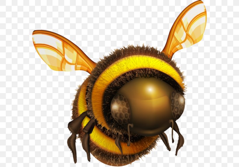 Bee Clip Art, PNG, 600x574px, Bee, Arthropod, Honey Bee, Honeycomb, Hornet Download Free
