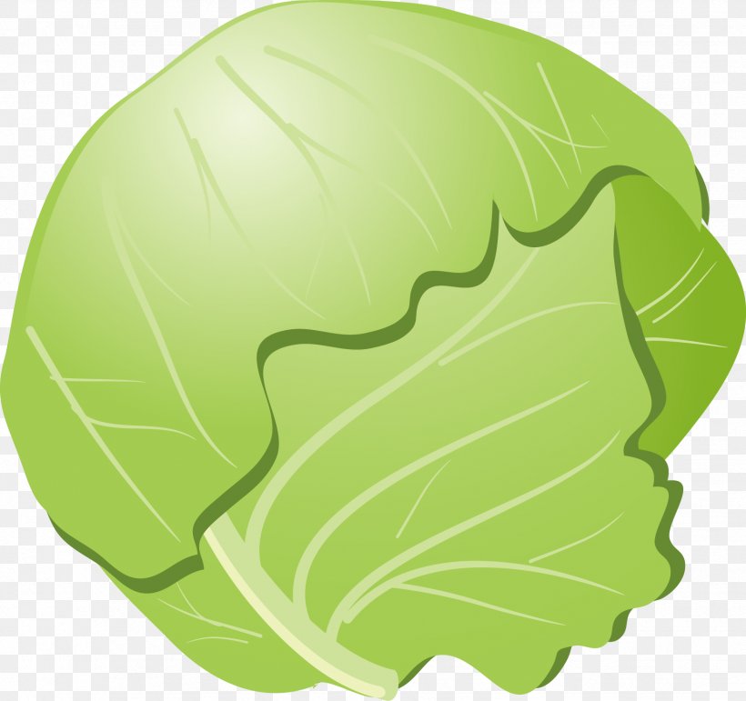 Cabbage Cauliflower Okonomiyaki Vegetable, PNG, 1748x1644px, Cabbage, Brassica Oleracea, Cauliflower, Diagram, Food Download Free