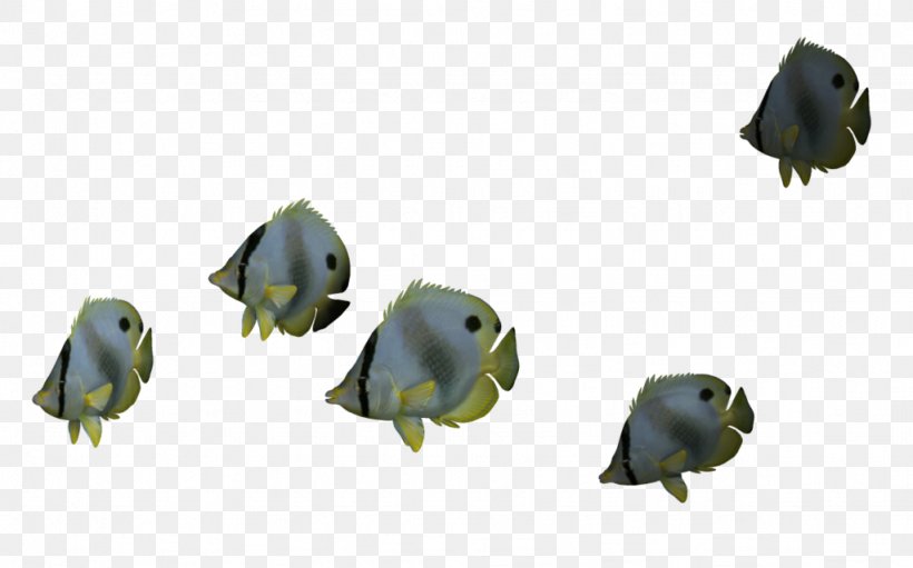 Fish Clip Art, PNG, 1024x639px, Fish, Beak, Butterflyfish, Fauna, Grass Download Free