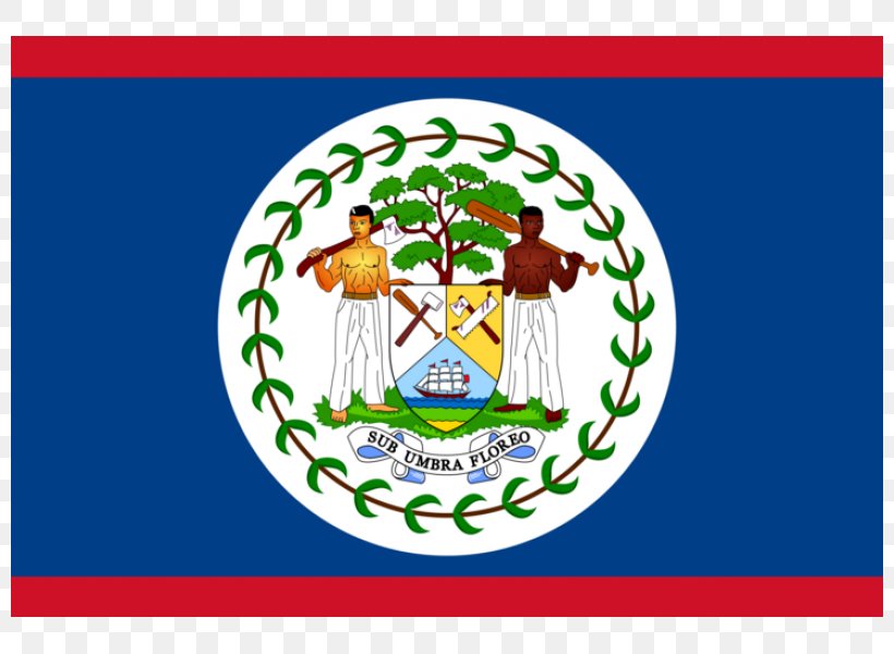 Flag Of Belize National Flag Flag Of El Salvador, PNG, 800x600px, Flag Of Belize, Area, Bandera Miniatura, Belize, Brand Download Free