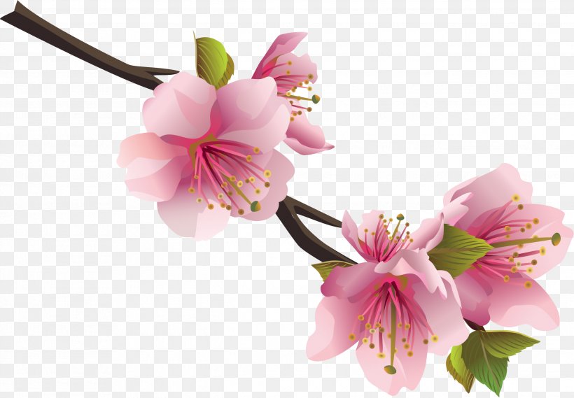 Flower Bouquet Clip Art, PNG, 2638x1833px, Flower, Alstroemeriaceae, Blossom, Branch, Cherry Blossom Download Free