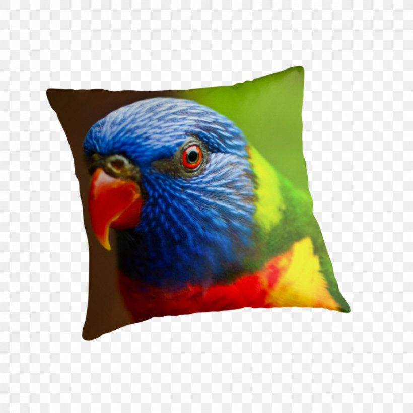 Macaw Cushion Pillow Feather Beak, PNG, 875x875px, Macaw, Beak, Bird, Cushion, Feather Download Free