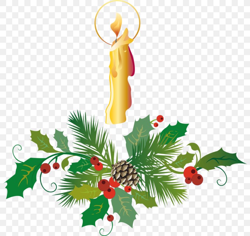 Santa Claus Christmas New Year Clip Art, PNG, 800x773px, Santa Claus, Aquifoliaceae, Aquifoliales, Blog, Christmas Download Free