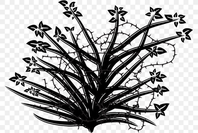 Vector Graphics Brush Clip Art Painting, PNG, 781x553px, Brush, Black And White, Branch, Bristle, Drawing Download Free