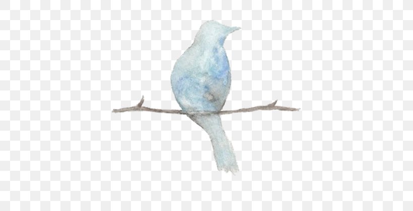Bird Sparrow Clip Art, PNG, 640x420px, Bird, Animal, Beak, Bird Flight, Bluebird Download Free