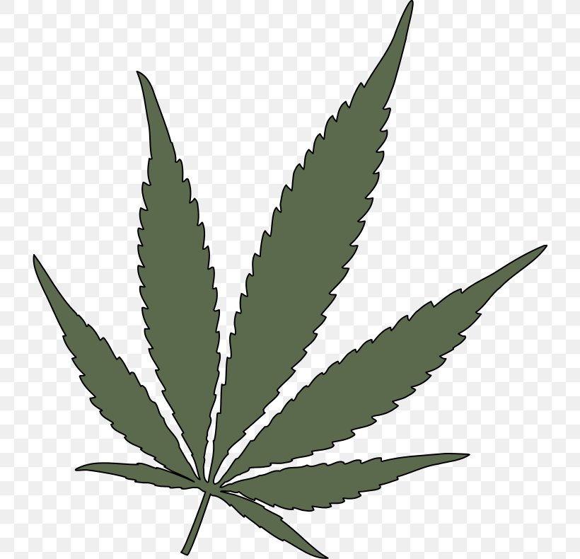 Cannabis Sativa 420 Day Medical Cannabis Cannabis Ruderalis, PNG, 728x790px, 420 Day, Cannabis Sativa, Blunt, Cannabis, Cannabis Ruderalis Download Free