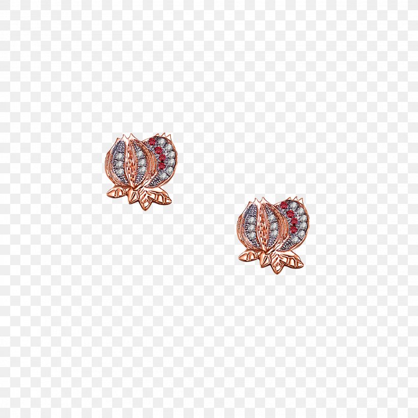 Earring Body Jewellery Clothing Accessories Gemstone, PNG, 2548x2548px, Earring, Activity Tracker, Body Jewellery, Body Jewelry, Clothing Accessories Download Free