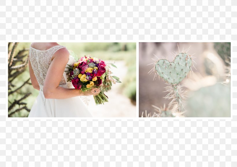 Floral Design Photography Wedding Cut Flowers, PNG, 2526x1786px, Floral Design, Bride, Cut Flowers, Denver, Flora Download Free