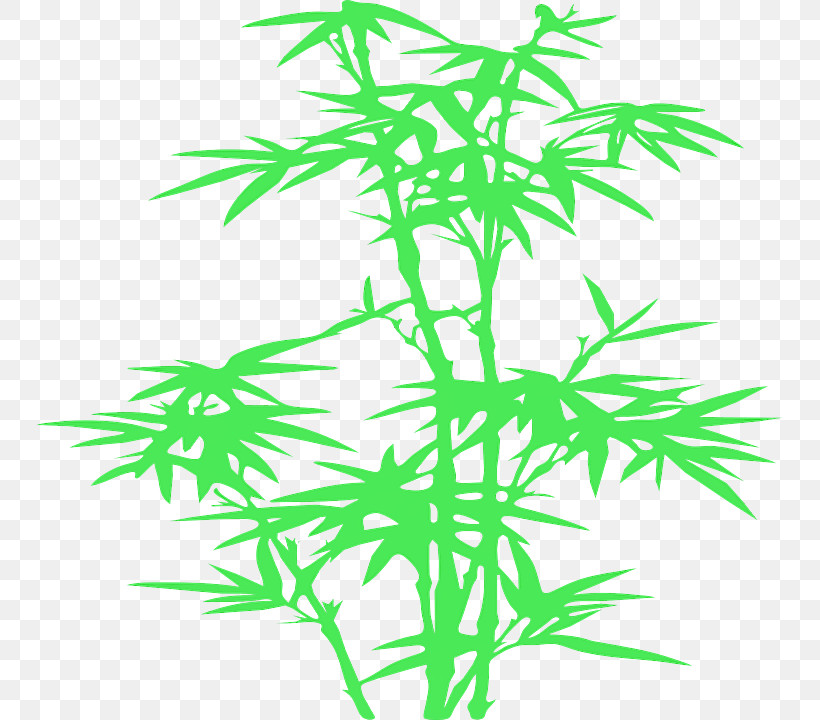 Leaf Plant Plant Stem Tree Hemp Family, PNG, 747x720px, Leaf, Flower, Hemp Family, Plant, Plant Stem Download Free