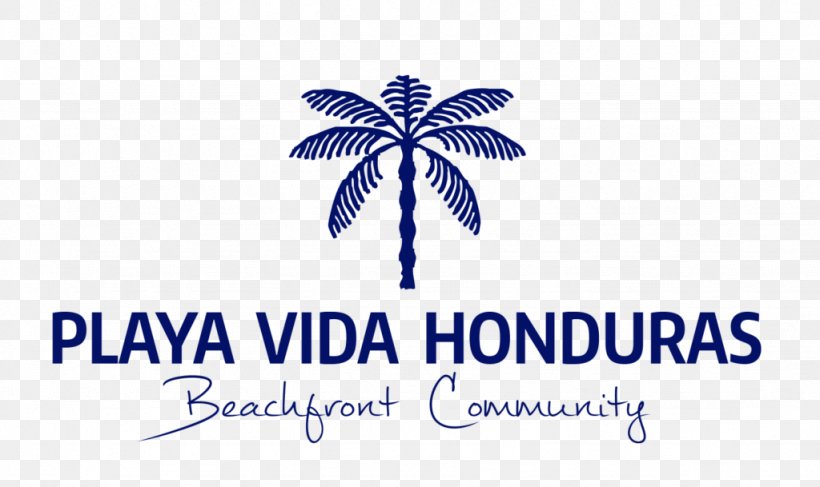 Playa Vida Honduras Beachfront Community HGTV House, PNG, 1024x609px, Hgtv, Beach, Beach House, Brand, Caribbean Download Free