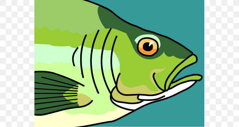 Fish Gill Clip Art, PNG, 583x438px, Fish Gill, Art, Artwork, Beak, Bird Download Free