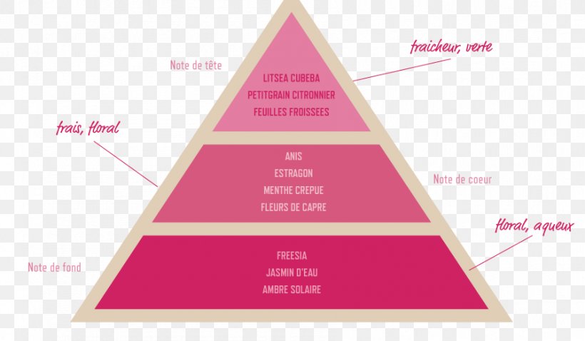 Grasse Perfumer Olfaction Triangle, PNG, 895x522px, Grasse, Acacia Dealbata, Aromatic Compounds, Brand, Diagram Download Free