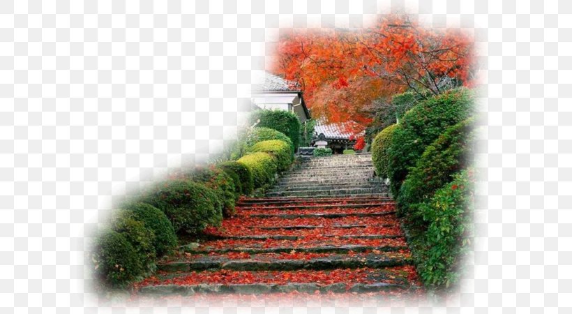 Kyoto Desktop Wallpaper Japanese Garden, PNG, 600x450px, Kyoto, Cherry Blossom, Evergreen, Garden, Grass Download Free