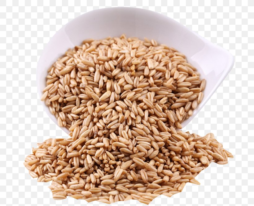 Oat Organic Food Rice Cereal Chinese Cuisine Spelt, PNG, 720x666px, Oat, Avena, Barley, Bran, Cereal Download Free