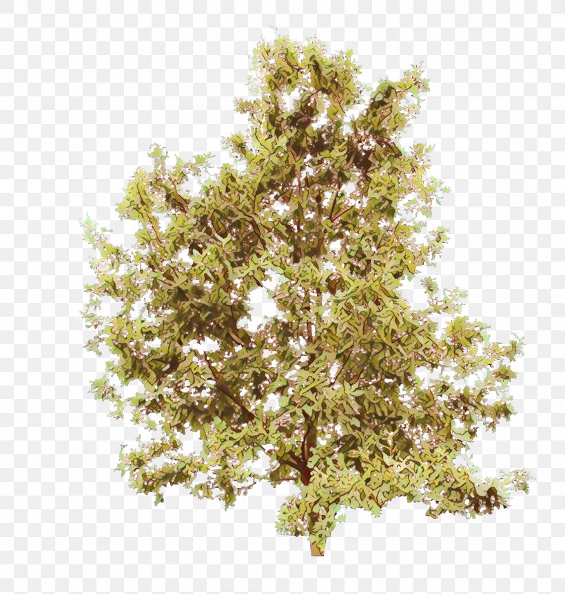 Tree Plant Flower Woody Plant Grass, PNG, 2304x2426px, Cartoon, Branch, Flower, Flowering Plant, Grass Download Free