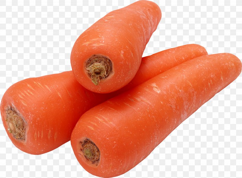 Carrot Seed Oil Vegetable Vegetarian Cuisine Ingredient, PNG, 3119x2296px, Gajar Ka Halwa, Baby Carrot, Bologna Sausage, Carrot, Carrot Seed Oil Download Free