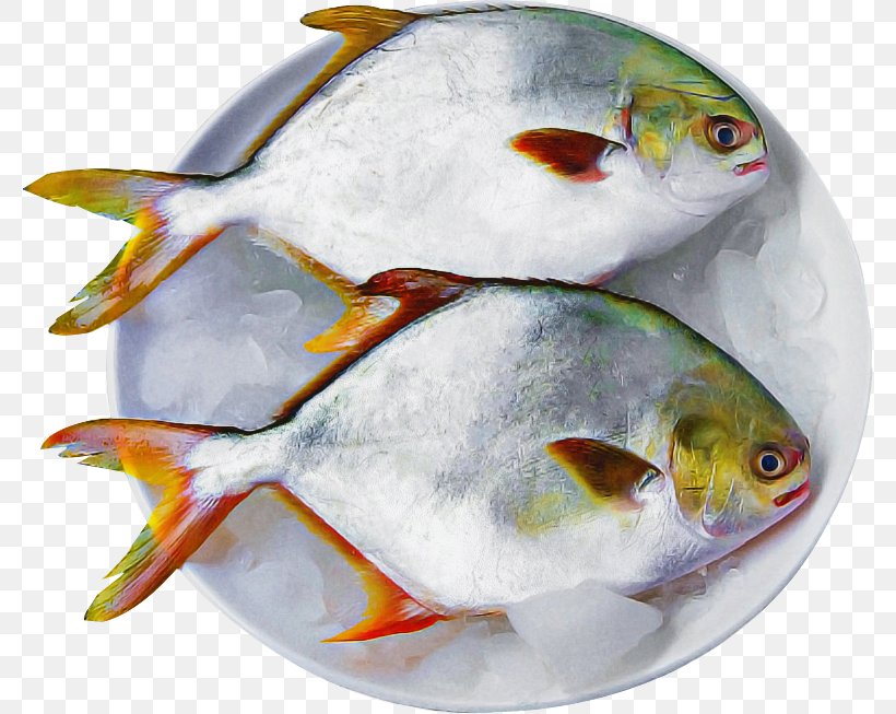 Fish White Fish Bony-fish, PNG, 779x653px, Fish, Bonyfish, White Download Free