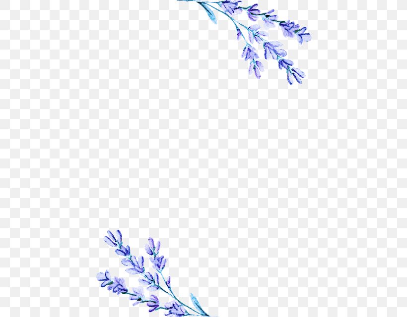 Lavender, PNG, 457x640px, Lavender, Bellflower Family, Flower, Flowering Plant, Lilac Download Free