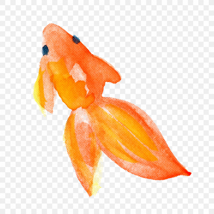 Orange, PNG, 1000x1000px, Watercolor Fish, Goldfish, Orange, Plant Download Free